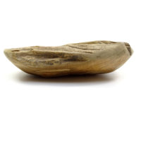 Teak Holz Schale Massiv #S3 Nature - WYSIWYG – Bild 2