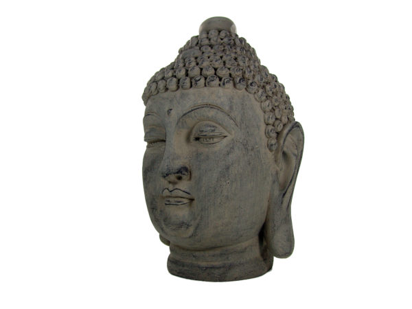 Buddha - Büste - Colmore Buddha