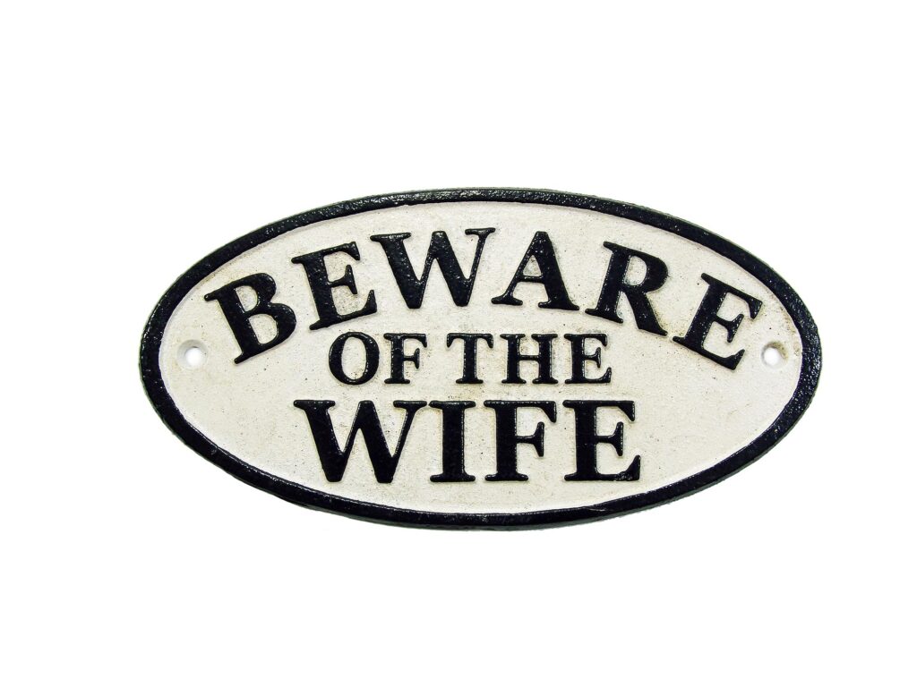Vintage-Metallschild „Beware Of The Dog“ – 30,5 X 20,3 Cm, Rustikal, Mit Aufhängebohrungen