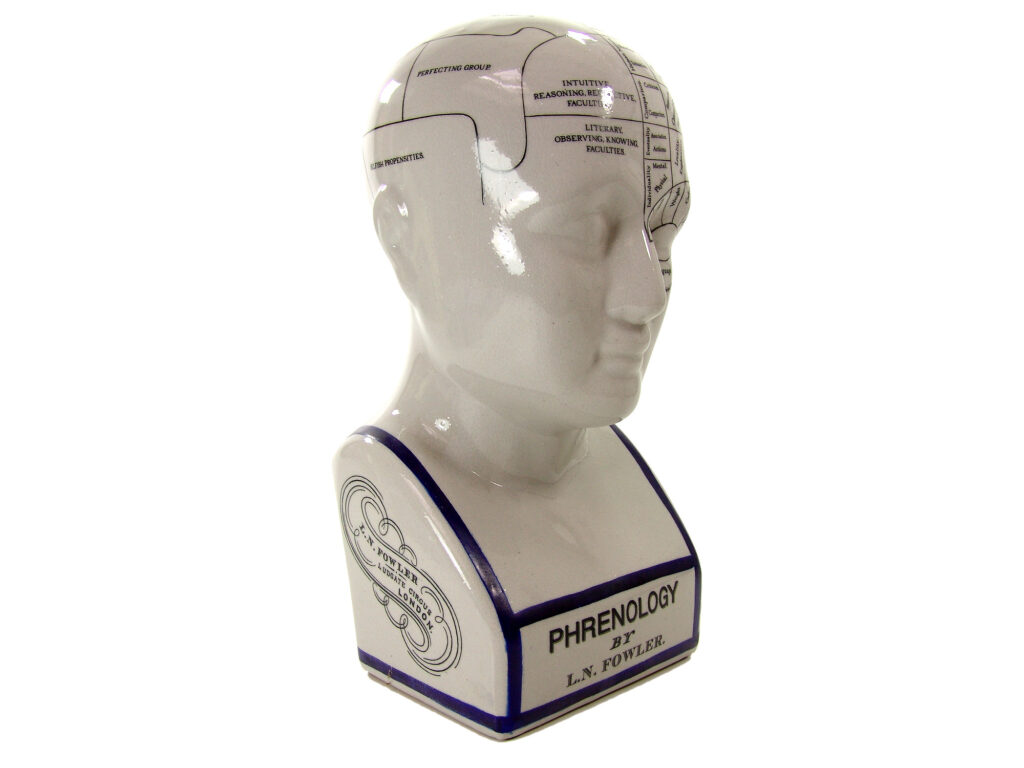 TÊTE PHRÉNOLOGIE L N FOWLER en porcelaine émaillée
